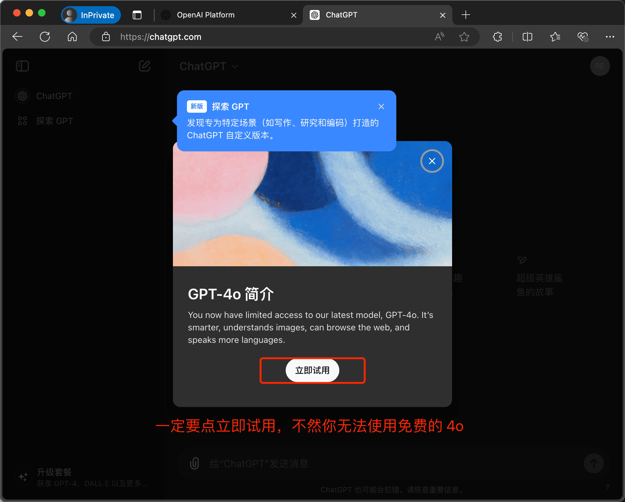 立即试用